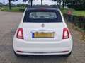 Fiat 500 Cabrio Anniversario Uniek! Wit - thumbnail 12