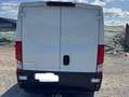 Iveco Daily 35 S 13 V Weiß - thumbnail 9