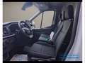 Ford Transit 310 2.0 EcoBlue Trend - L2H2 Bianco - thumbnail 9