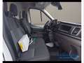Ford Transit 310 2.0 EcoBlue Trend - L2H2 Bianco - thumbnail 13