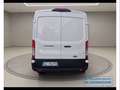 Ford Transit 310 2.0 EcoBlue Trend - L2H2 Bianco - thumbnail 5