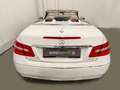 Mercedes-Benz E 220 CDI Aut. Cabrio, NAVI, LEDER, AIRSCARF Weiß - thumbnail 8