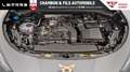 CUPRA Terramar 1.5 eTSI Hybrid 150 ch DSG7 V Gris - thumbnail 22