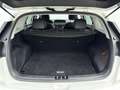 Kia Niro 1.6 GDi Hybrid ExecutiveLine | leder | Navi | Came Blanc - thumbnail 16