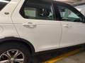 Land Rover Discovery Sport Discovery Sport I 2015 2.0 td4 SE awd 150cv auto Alb - thumbnail 14