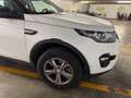Land Rover Discovery Sport Discovery Sport I 2015 2.0 td4 SE awd 150cv auto Alb - thumbnail 3