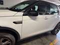 Land Rover Discovery Sport Discovery Sport I 2015 2.0 td4 SE awd 150cv auto Alb - thumbnail 4