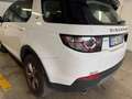 Land Rover Discovery Sport Discovery Sport I 2015 2.0 td4 SE awd 150cv auto Alb - thumbnail 10