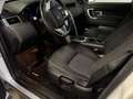 Land Rover Discovery Sport Discovery Sport I 2015 2.0 td4 SE awd 150cv auto Alb - thumbnail 8