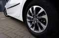 Toyota Prius 1.8 Plug-in Business Plus Camera_Navi_Headsup_Lane Blanco - thumbnail 15