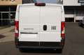 Fiat Ducato Ducato KW35 L2H1 140 Automatik Voll Led Abstand... Weiß - thumbnail 11