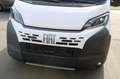 Fiat Ducato Ducato KW35 L2H1 140 Automatik Voll Led Abstand... Weiß - thumbnail 12