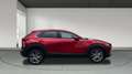 Mazda CX-30 2025 2.5 e-SKYACTIV G MHEV 140CV 6MT FWD CENTRE LI Rojo - thumbnail 6