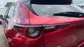 Mazda CX-30 2025 2.5 e-SKYACTIV G MHEV 140CV 6MT FWD CENTRE LI Rojo - thumbnail 19