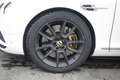 Bentley Continental GT Continental GT V8 S Unicoproprietario Bianco - thumbnail 5