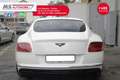 Bentley Continental GT Continental GT V8 S Unicoproprietario Bianco - thumbnail 7
