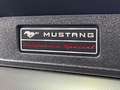 Ford Mustang MUSTANG GT CALIFORNIA SPEZIAL+CABRIO+UNFALLFREI Grijs - thumbnail 20