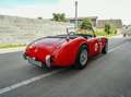 Austin Healey MK1 Rot - thumbnail 3