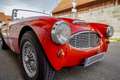 Austin Healey MK1 Rot - thumbnail 7
