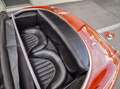 Austin Healey MK1 Rot - thumbnail 22