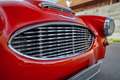 Austin Healey MK1 Rot - thumbnail 8