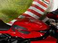 MV Agusta F3 800 ROSSO - thumbnail 6