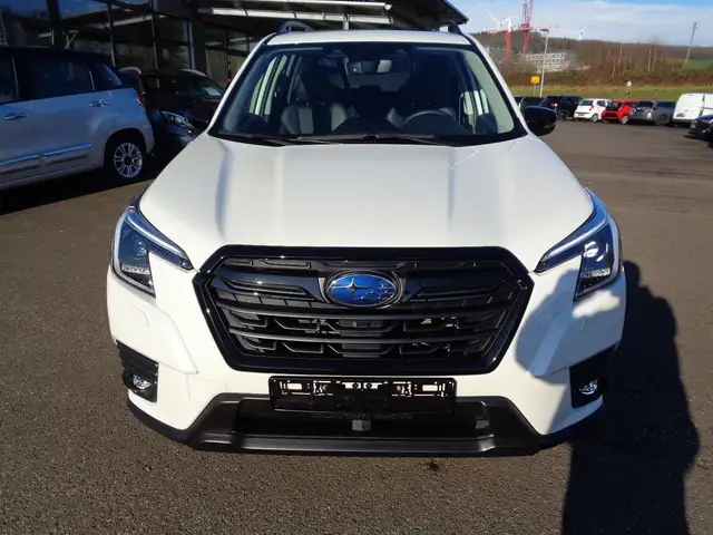 Subaru Forester view 2