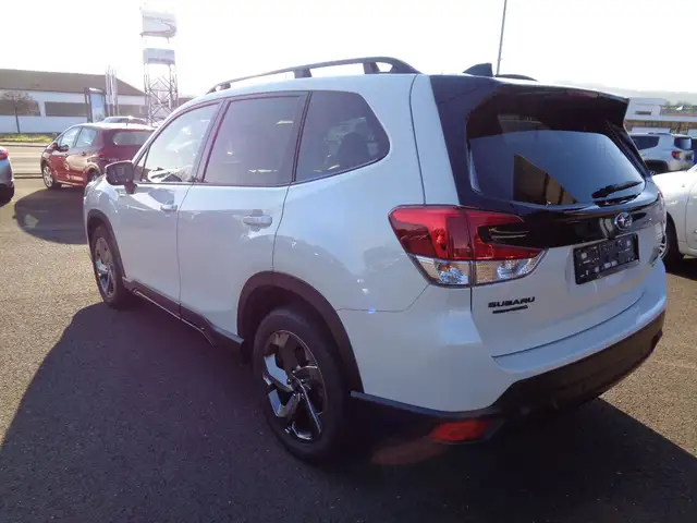 Subaru Forester view 6
