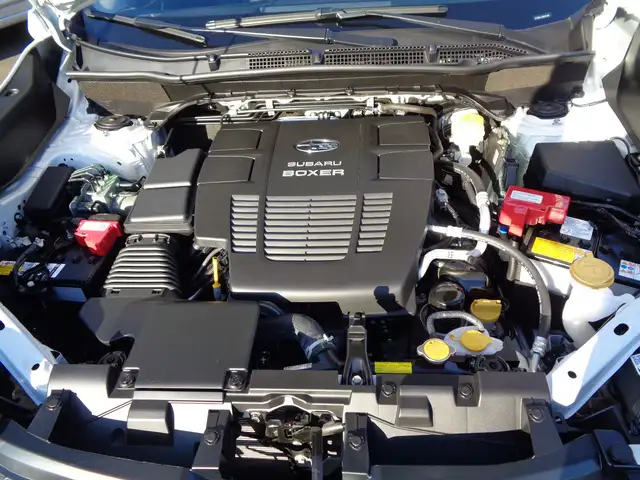 Subaru Forester view 14