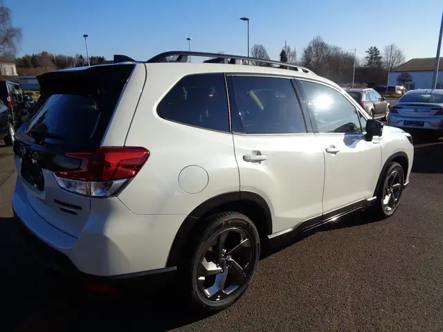 Subaru Forester view 4