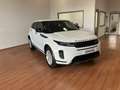 Land Rover Range Rover Evoque 2.0d i4 mhev S awd 163cv auto Blanc - thumbnail 3