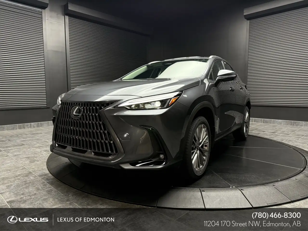 2026 Lexus NX photo 2026 Lexus NX