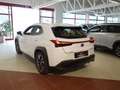 Lexus UX 250h Luxury Aut. *HYBRID *VOLL *AHK *184PS Weiß - thumbnail 5