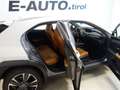 Lexus UX 250h Luxury Aut. *HYBRID *VOLL *AHK *184PS Weiß - thumbnail 11
