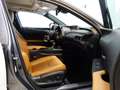Lexus UX 250h Luxury Aut. *HYBRID *VOLL *AHK *184PS Weiß - thumbnail 13