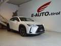Lexus UX 250h Luxury Aut. *HYBRID *VOLL *AHK *184PS Weiß - thumbnail 1