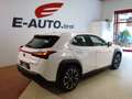 Lexus UX 250h Luxury Aut. *HYBRID *VOLL *AHK *184PS Weiß - thumbnail 10