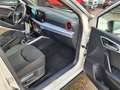 SEAT Arona 1,0 TSI FR (5 Jahre Werks-Garantie) Weiß - thumbnail 15