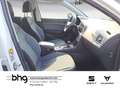 SEAT Ateca 2.0 TDI DSG Style AHK ACC Assist Navi conn Blanc - thumbnail 8