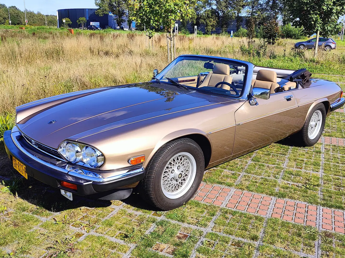 Jaguar XJS 5.3 V12 Convertible Gold - 1