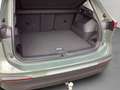 Volkswagen Tiguan 1.5 eTSI DSG Life AHK/Design/Pano Grün - thumbnail 6