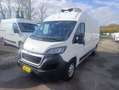 Peugeot Boxer Boxer 333 2.2 BlueHDi 165 FRIGORIFERO Bianco - thumbnail 2