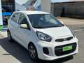 Kia Picanto Picanto 1.0 12V EcoGPL 5 porte Active Bianco - thumbnail 3