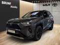 Toyota RAV 4 2.5 Hybrid 4x4 Style Navi JBL 360-Kamera Szary - thumbnail 2