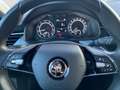 Skoda Kamiq 1.0 TSI Clever ACC Klima Bluetooth Blau - thumbnail 9