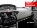 Lancia Ypsilon Ypsilon III 2015 1.2 Elefantino Blu s - thumbnail 11