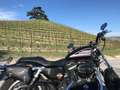 Harley-Davidson Sportster 883 XL 883 R Nero - thumbnail 4