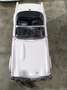 Triumph TR5 ROADSTER Weiß - thumbnail 7