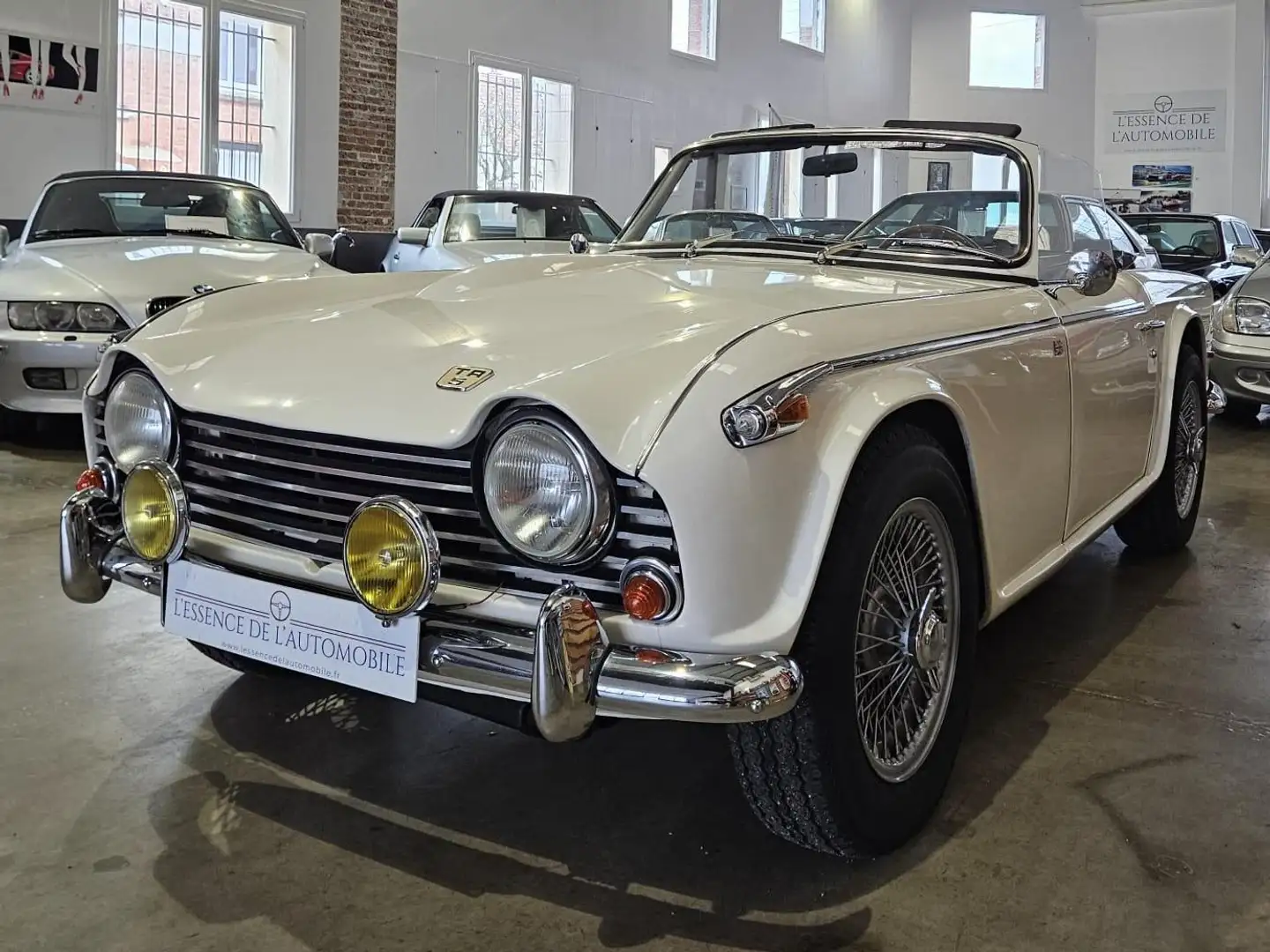 Triumph TR5 ROADSTER Weiß - 1