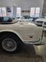 Triumph TR5 ROADSTER Weiß - thumbnail 15